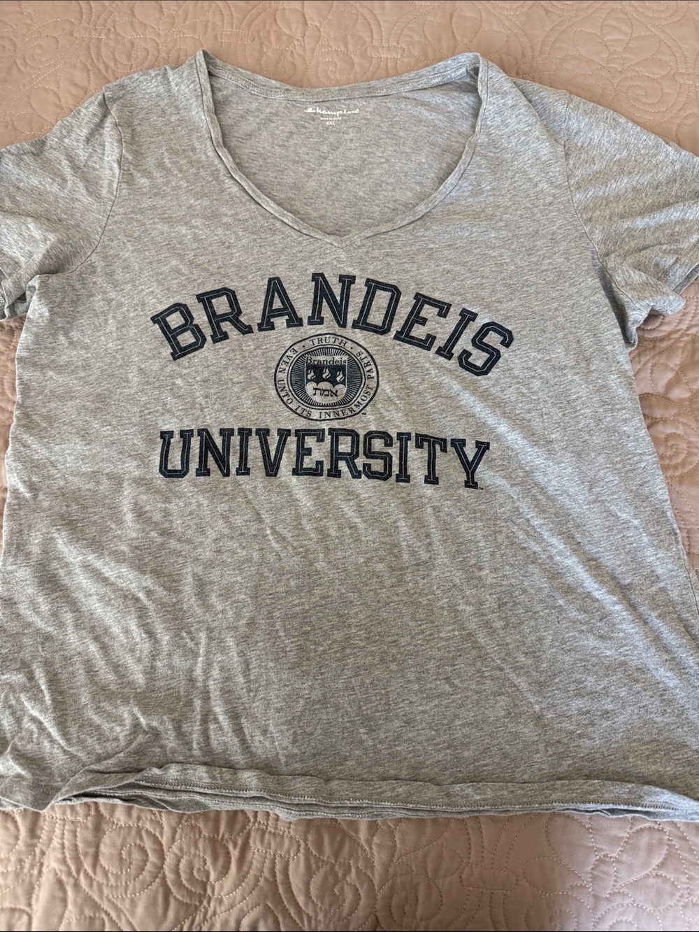 Champion Gray All Cotton Brandeis University V-Neck T Shirt (L)